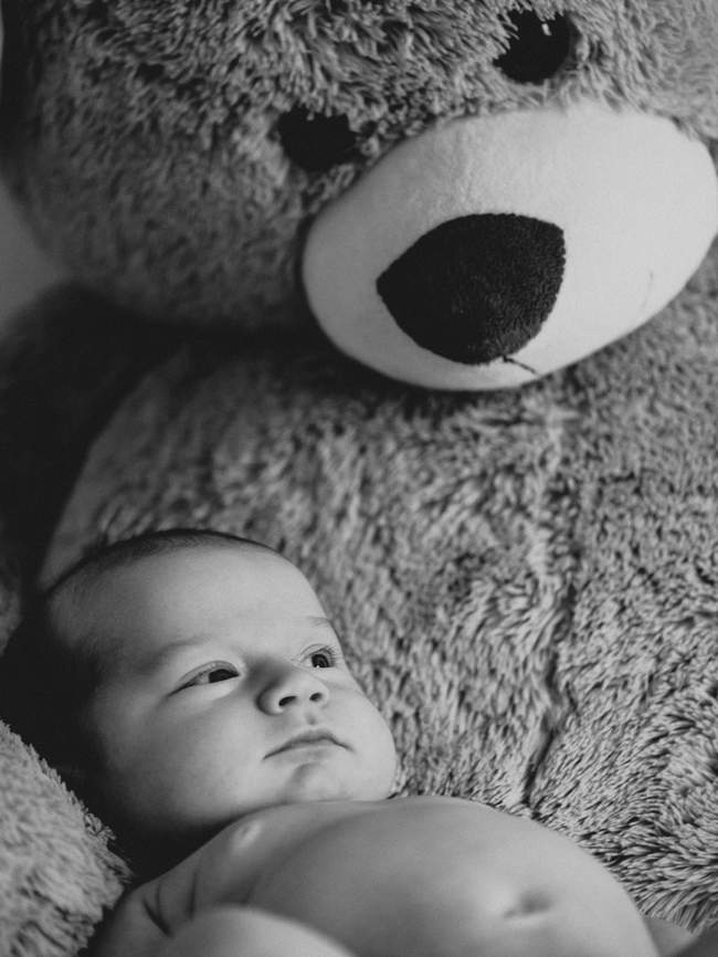 bébé et nounours osent à sant malo pour le photographe