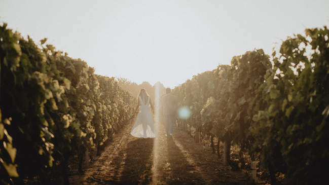 Les mariés dans les vignes de l'ile d'oléron